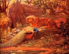 bs-na- Charles R Knight- Bengal Tiger And Peacock. Knight, Charles R