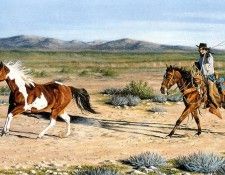 Aaw044 Pamela Wildermuth Closing the Gap sqs. Wildermuth, ������