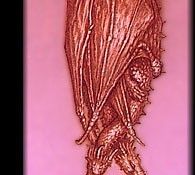 pcbd012. ������, �����