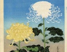 pic13691. ���, ������