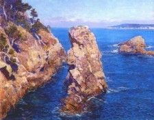 rose point lobos (carmel) c1918. , 