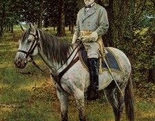 Schmehl, Bradley - The Gray Fox (end. Schmehl, 