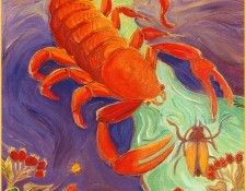 pa ShellyBartek 11 Scorpio. Bartek, 