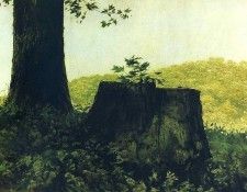 File8976. Wyeth, 