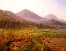 Jutz Carl An Extensive Field With Game Birds And Rabbits. Jutz, ����