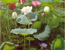 Ottesen-OttoDidrik-LilyPond-sj. �������, ���� ������