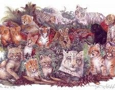 lrs Hart June Little Big Cats. ����, ����