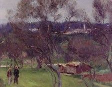 Olive Trees Corfu. ,  