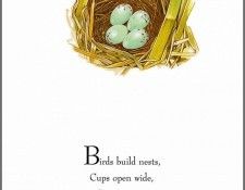 pa TonyOliver BirdsBuildNests 06a. , 