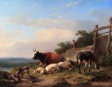 07246. Verboeckhoven,  