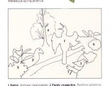 Oz AGls056 Tony Oliver Darter Key. ������, ����