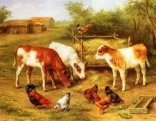 Hunt Edgar Calves And Chickens Feeding In A Farmyard. , 
