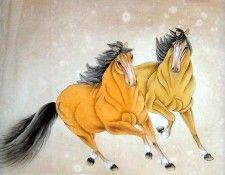 Shen Meizd0075. ���, ���