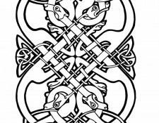 xlr8 cd39. �����, ������