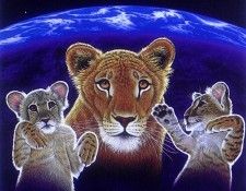 03. Schimmel, ������