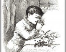 zFox SWD TN 08 He Prayed. Nast, 
