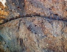 Funny 234. ����� ������ - ���� �����