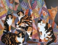 kb Vang Olsen Mimi T. �����, ���� ����