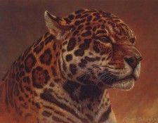 lrs Baughan Kalon Jaguar Portrait. Baughan, �����