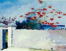 Homer A wall, Nassau, 1898, 37.5x54 cm, Watercolor, Metropol. , 