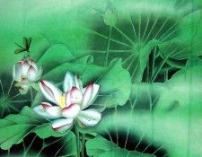 Shen Mei 5e0810. , 