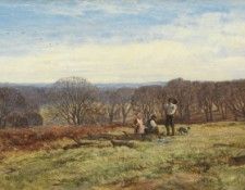 In the New Forest Hampshire. , 