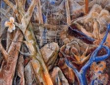 47995. ����, �������