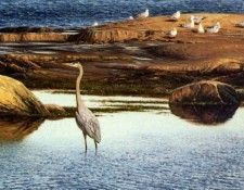 Claudio DAngelo - Along the North Shore, De. D'Angelo, 