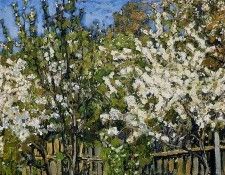 Petrovichev Pyotr Blossoming cherry trees Sun. , 