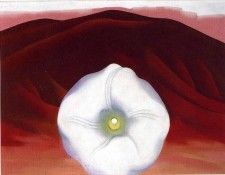 File9358. OKeeeffe, 