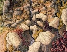 33940. Covili, �����