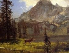 Bierstadt Albert Call of the Wild. , 