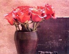 Maria Robledo - Red Rose, De. , 