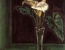 CAS1OPMX. ������-�-������, �������