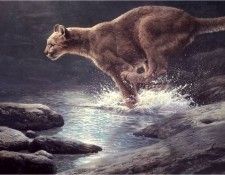 JohnSeerey-Lester MoonlightChase ec. Seerey-������� ����