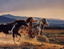 Glazier, Nancy - Three Amigos (end. , 