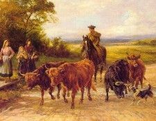The Handsome Drover 1904. , 