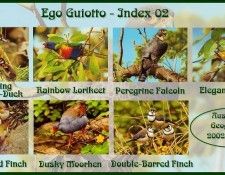 !pa EgoGuiotto Index02. Guiotto, ���