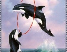 CasayAnthony-HulaHoop-sj. Casay, ������