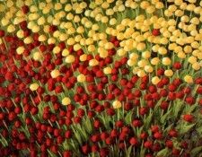 Kathy Clavette - Lannonce que lete a nos portes, De. Clavette, ����