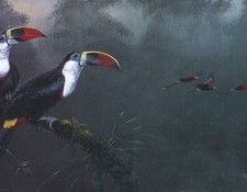 kb Ratnavira Gamini-Amazonian Dawn. Ratnavira, ������