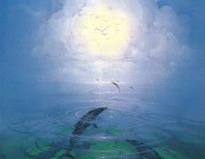 kb Pitre John Dolphin Serenity. , 