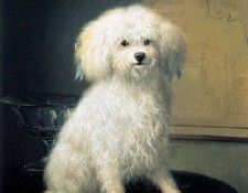 Ronner-Knip Henritte A dog Sun . Ronner-Knip, 