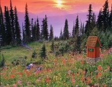 Outhouses - Swiss Chateau, De. 