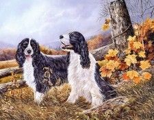 Shirley Deaville - Golden Days, De. Deaville, �����