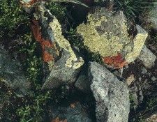 File4919. ����� ������ - ����� (���)