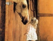 kb Harrison Little Visitor. ��������, �����