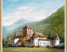 IlliniKarl 08 CastleMaretsch sj. Illini, ����