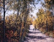 Julie Harris - A Walk with Mom, De. , 