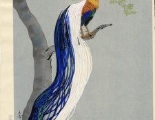 pic13696. ���, ������